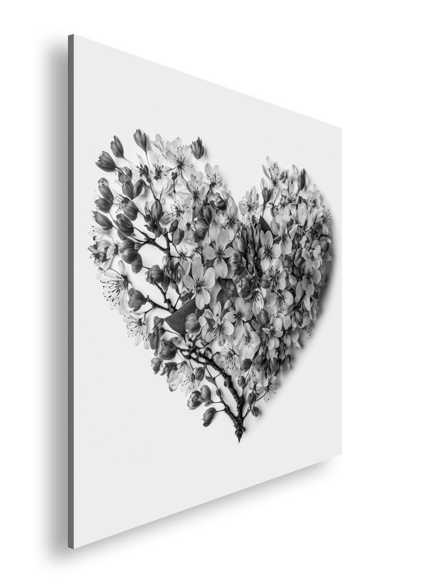 Hauptbild Schwarz & Weiß Quadratisch