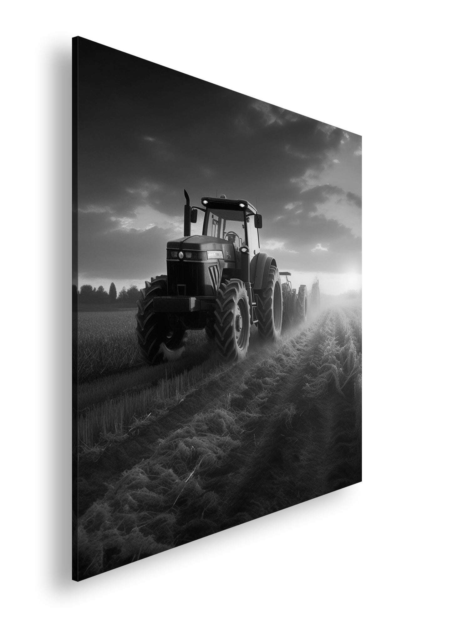 Hauptbild Schwarz & Weiß Quadratisch