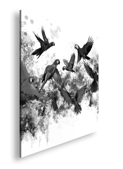 Hauptbild Schwarz & Weiß Quadratisch