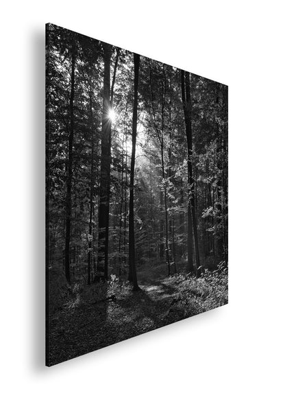 Hauptbild Schwarz & Weiß Quadratisch