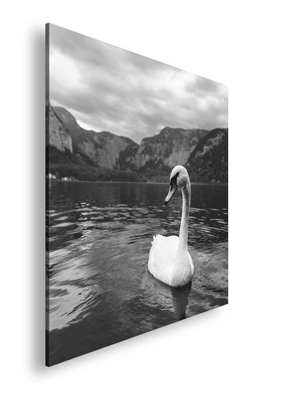 Hauptbild Schwarz & Weiß Quadratisch