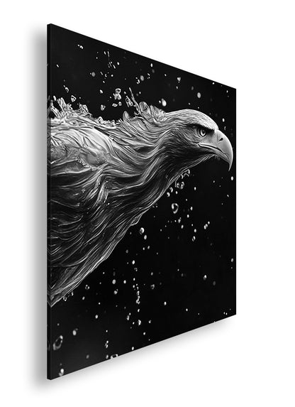 Hauptbild Schwarz & Weiß Quadratisch