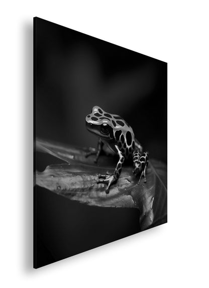 Hauptbild Schwarz & Weiß Quadratisch