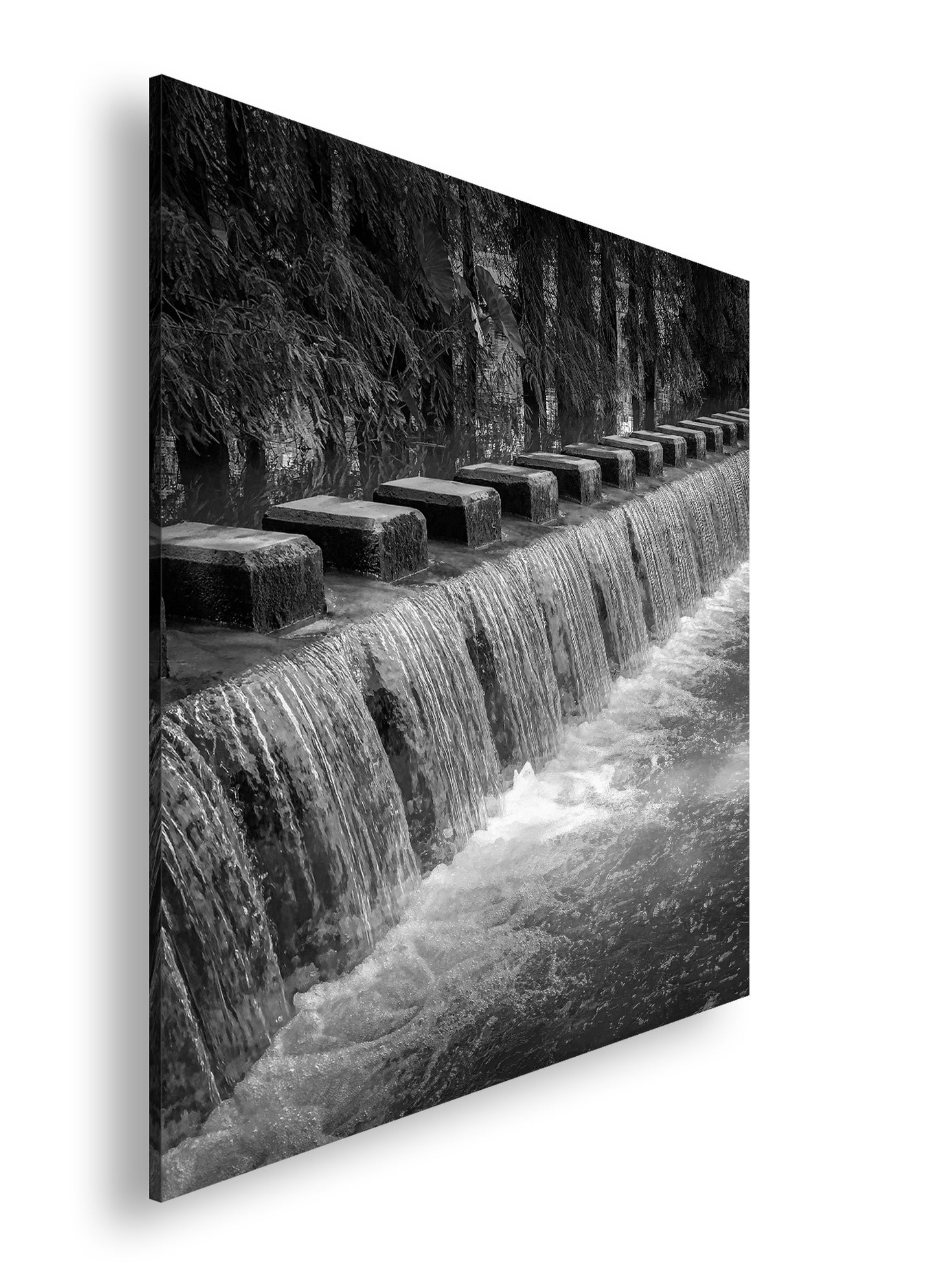 Hauptbild Schwarz & Weiß Quadratisch