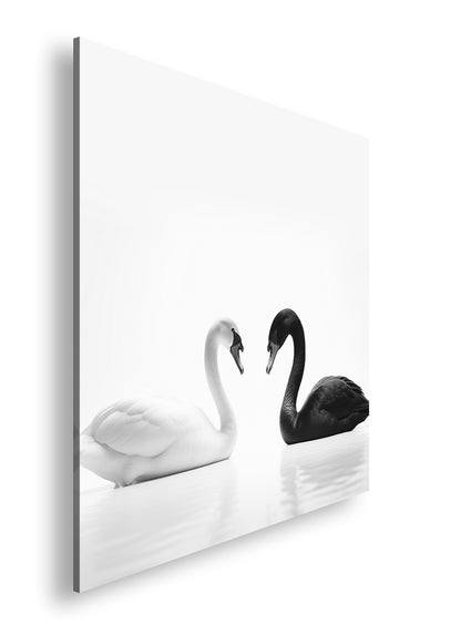 Hauptbild Schwarz & Weiß Quadratisch