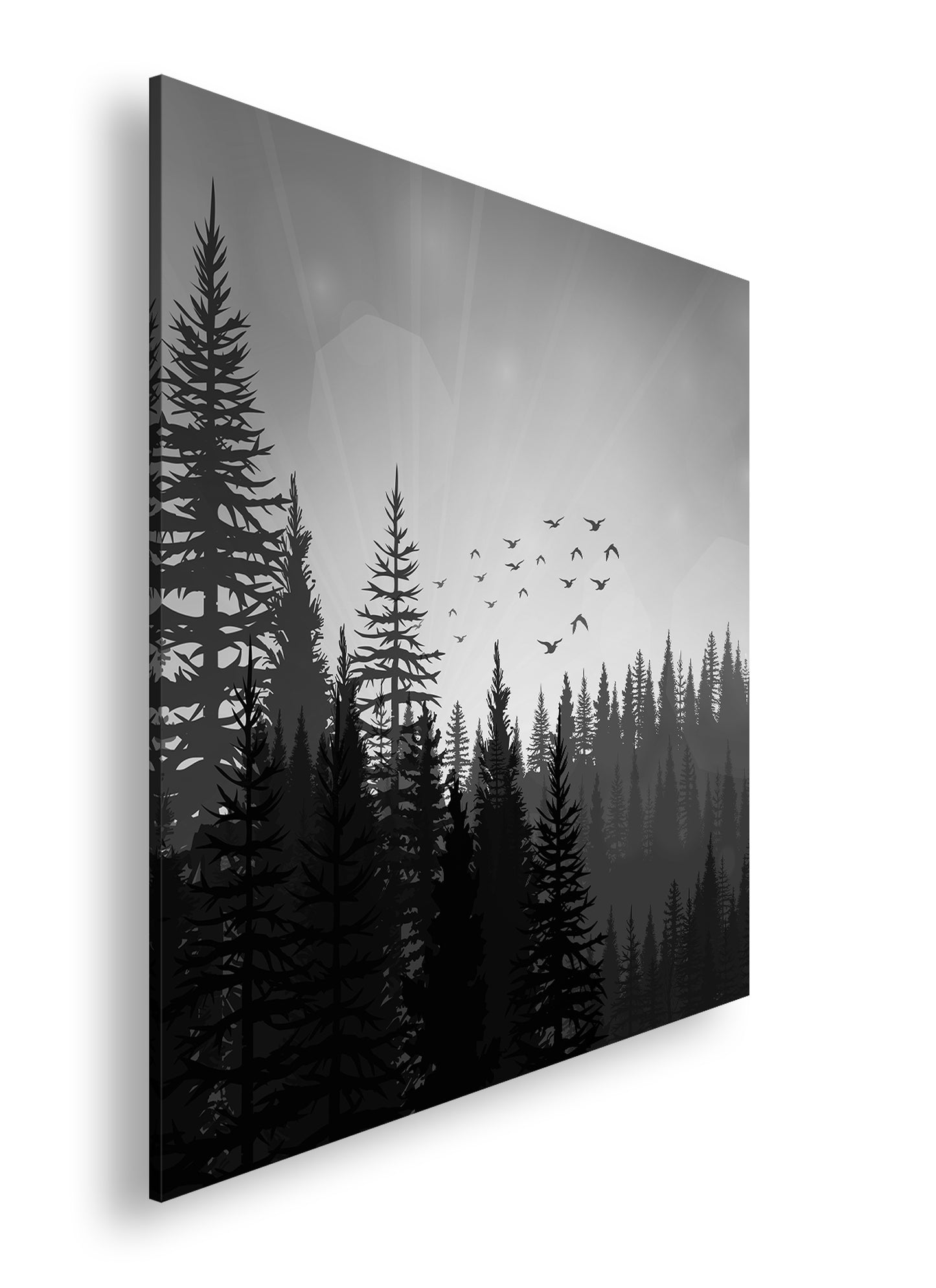 Hauptbild Schwarz & Weiß Quadratisch