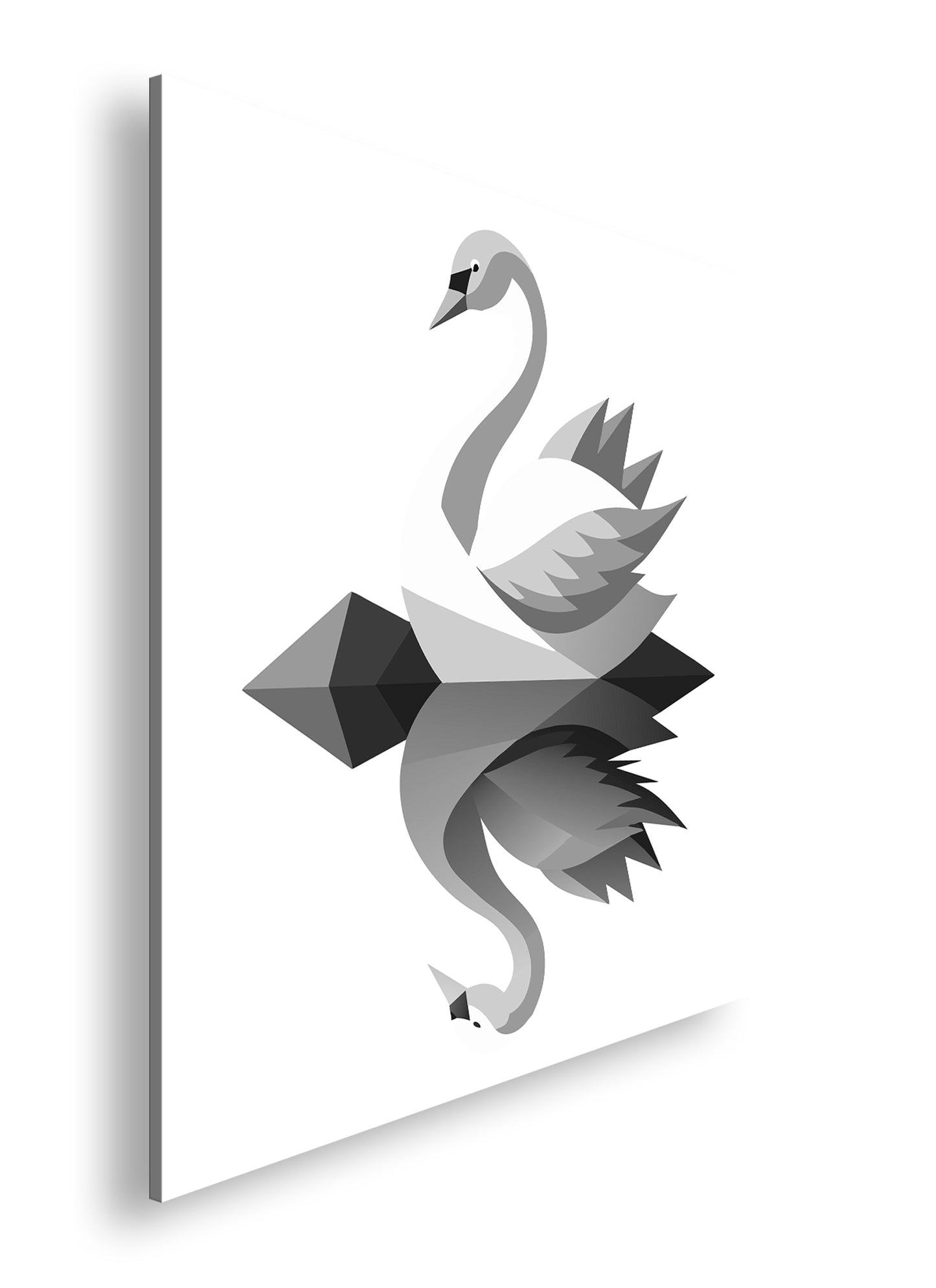 Hauptbild Schwarz & Weiß Quadratisch