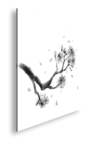 Hauptbild Schwarz & Weiß Quadratisch