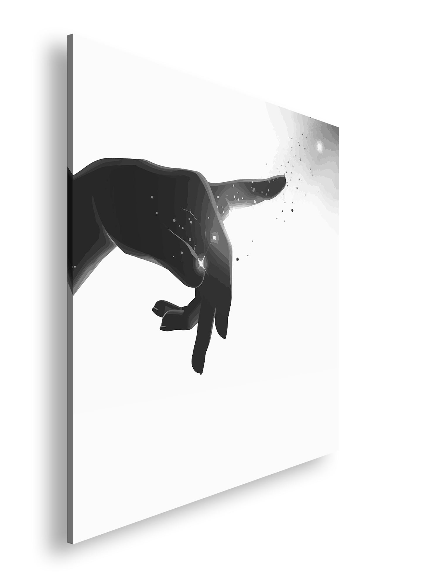 Hauptbild Schwarz & Weiß Quadratisch