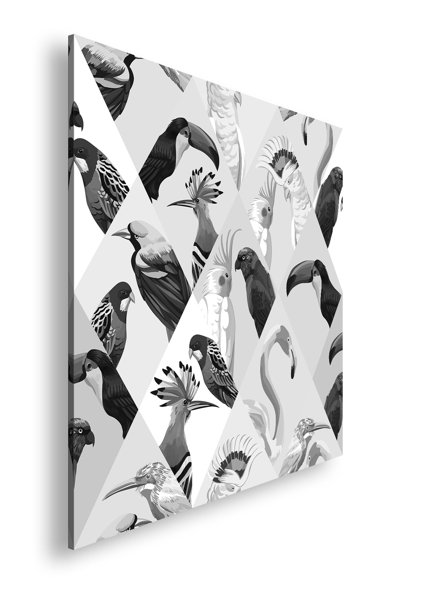 Hauptbild Schwarz & Weiß Quadratisch