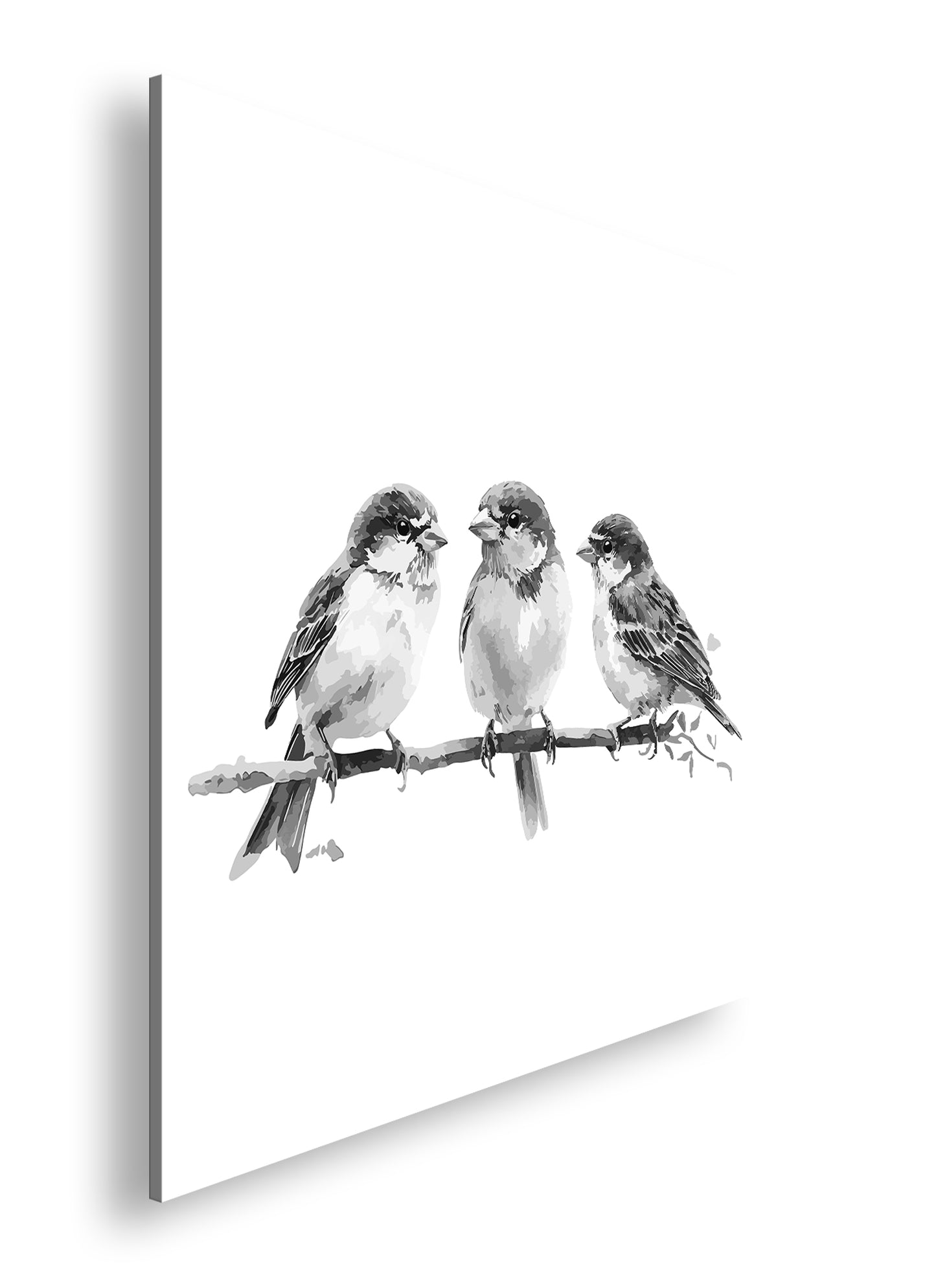 Hauptbild Schwarz & Weiß Quadratisch