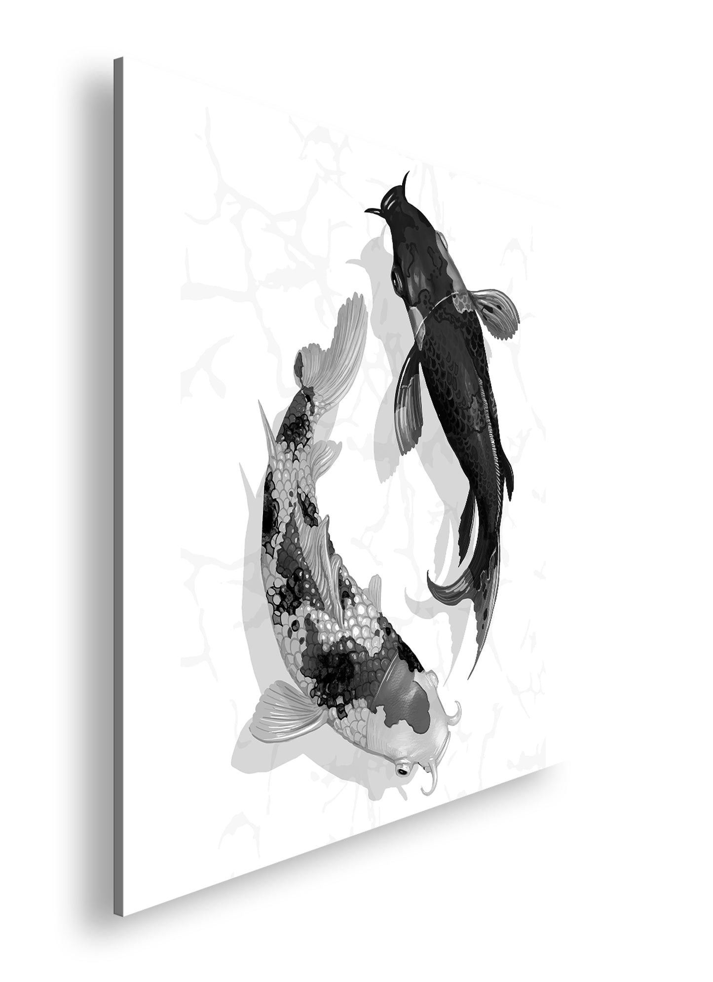 Hauptbild Schwarz & Weiß Quadratisch