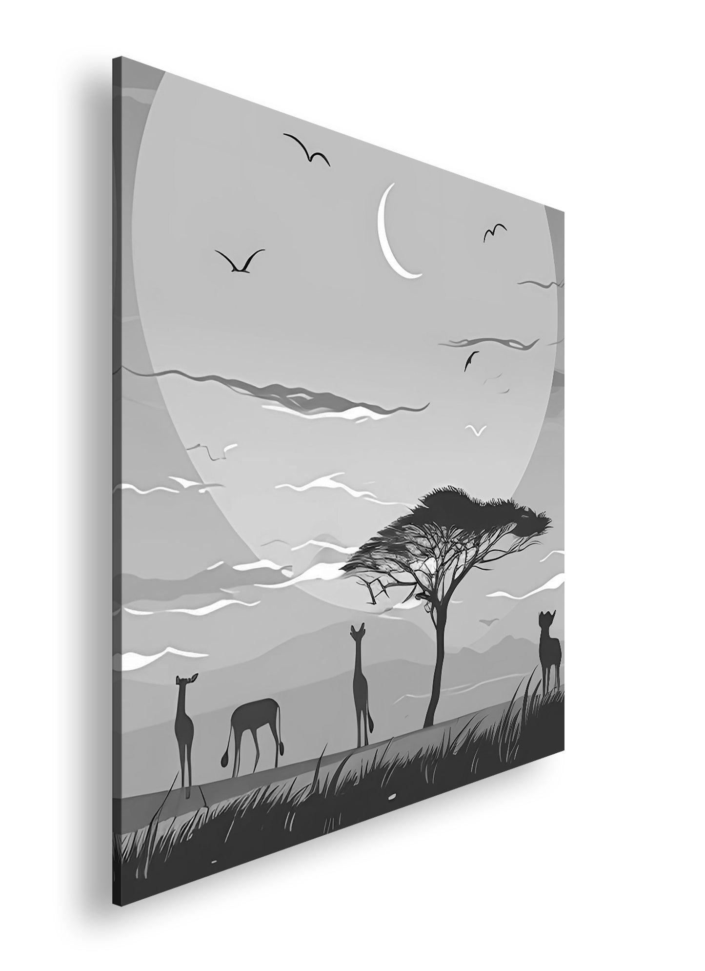 Hauptbild Schwarz & Weiß Quadratisch