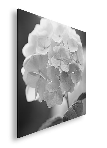 Hauptbild Schwarz & Weiß Quadratisch