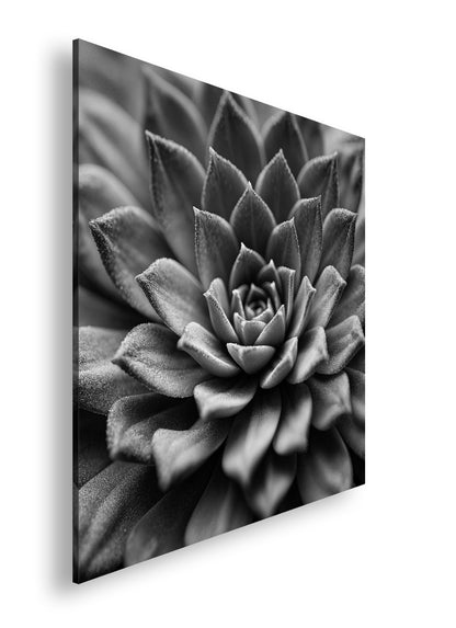 Hauptbild Schwarz & Weiß Quadratisch