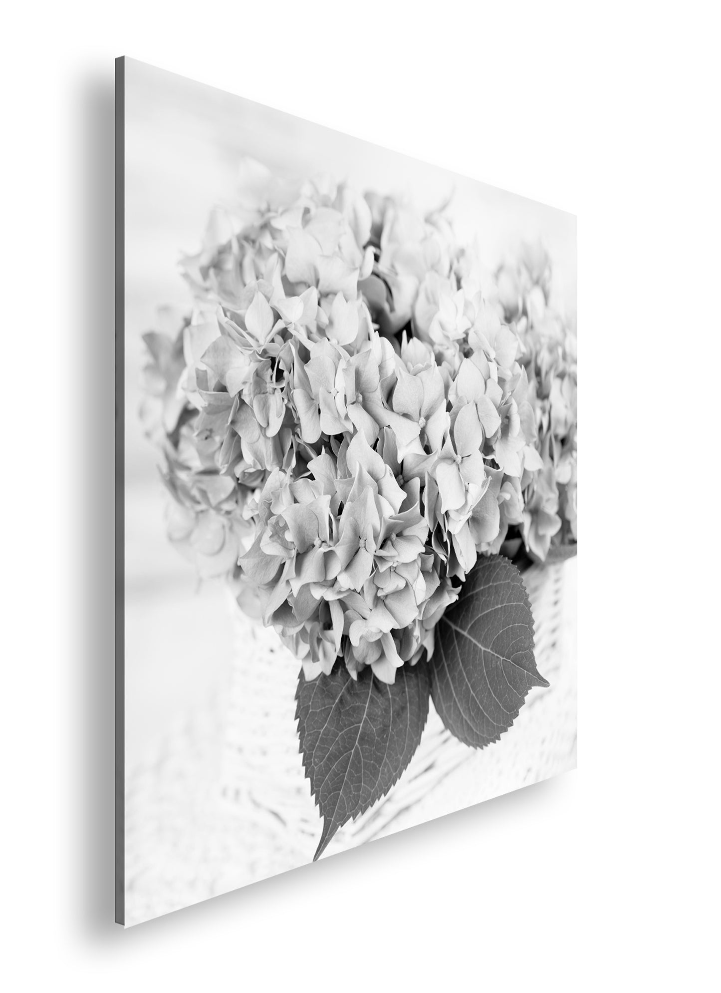 Hauptbild Schwarz & Weiß Quadratisch