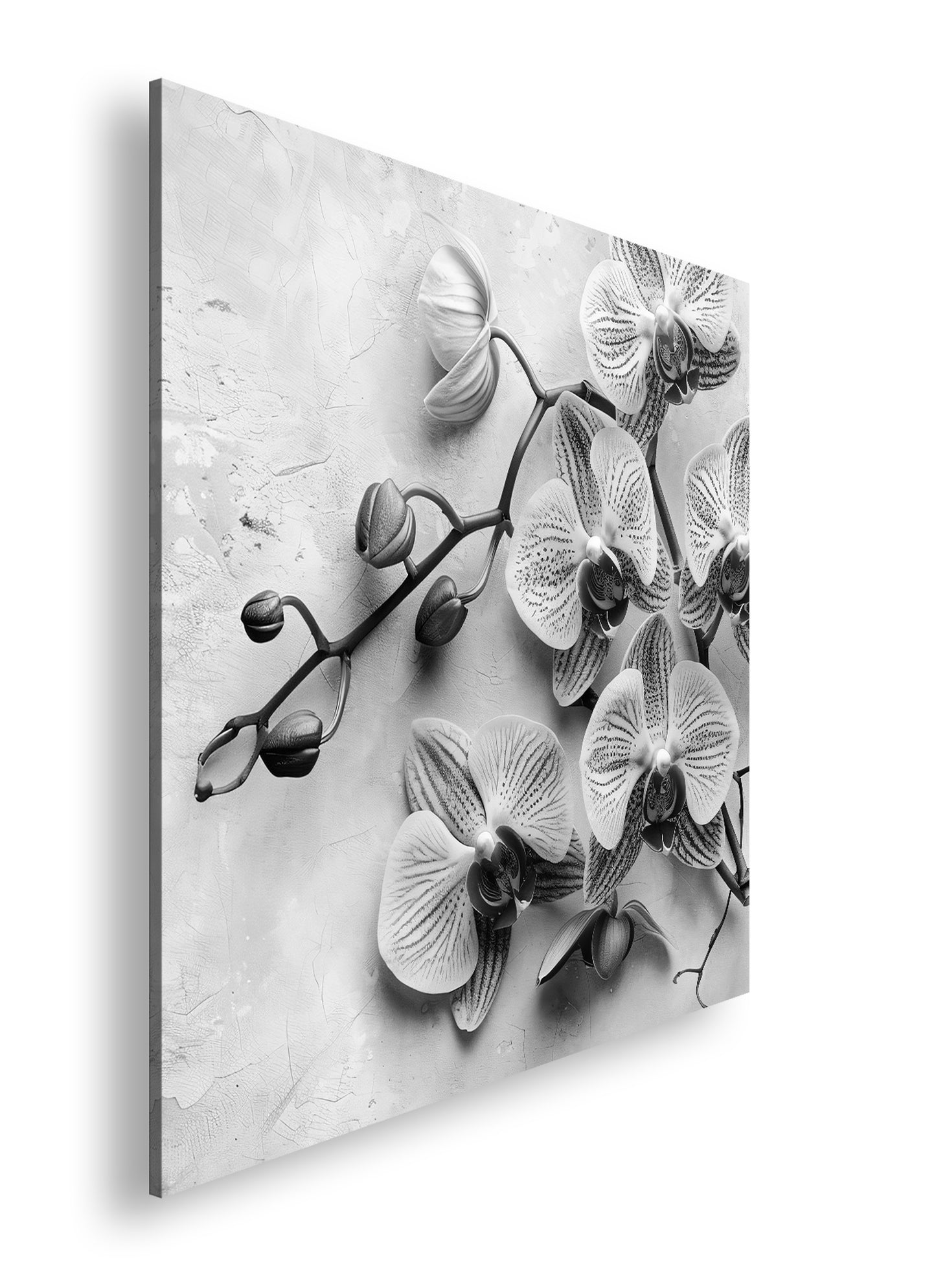 Hauptbild Schwarz & Weiß Quadratisch