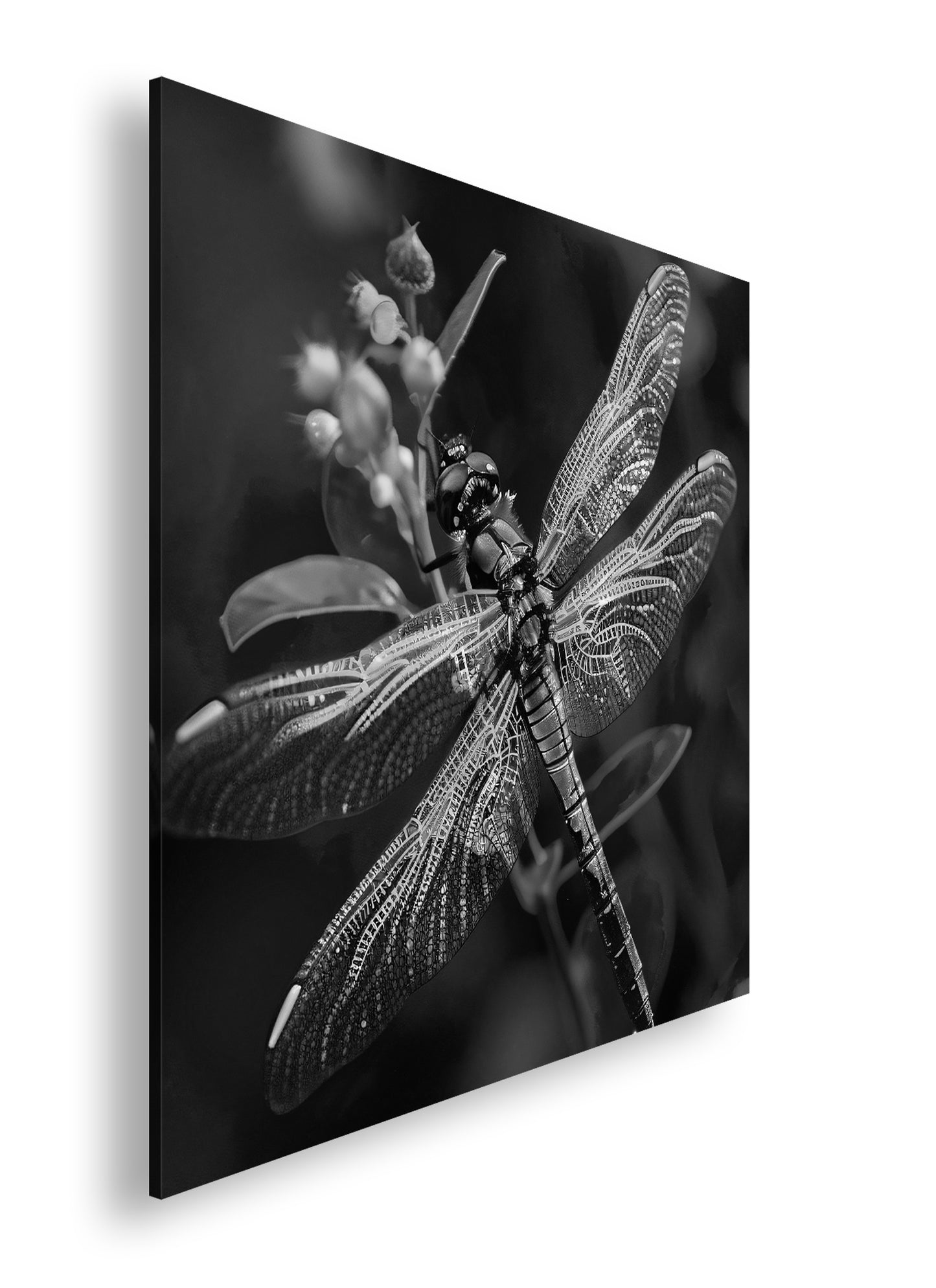 Hauptbild Schwarz & Weiß Quadratisch