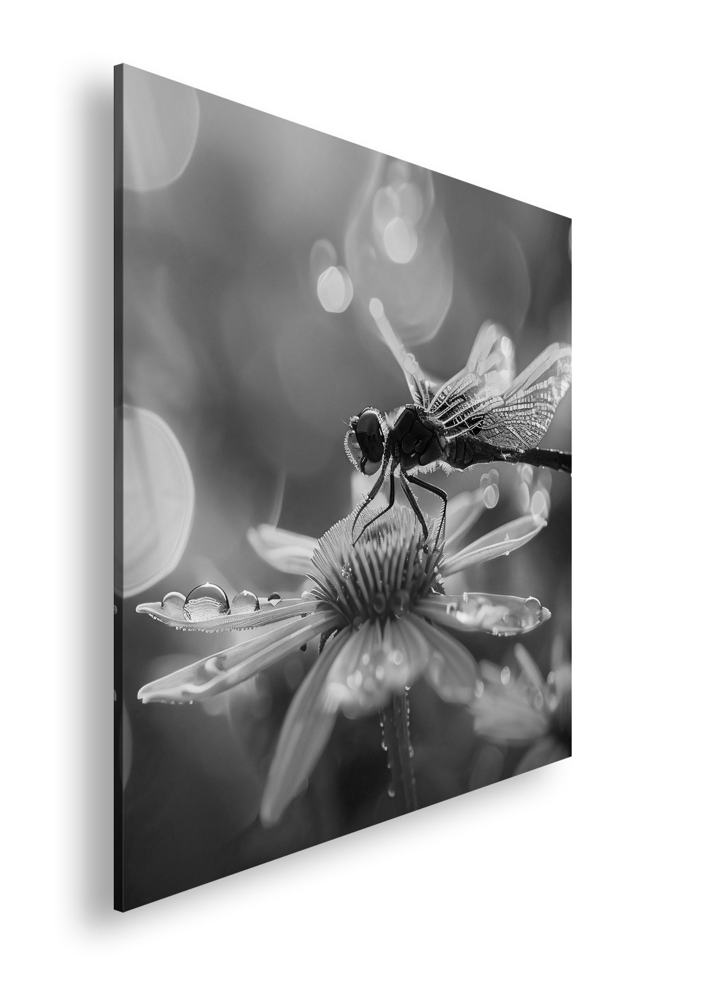 Hauptbild Schwarz & Weiß Quadratisch