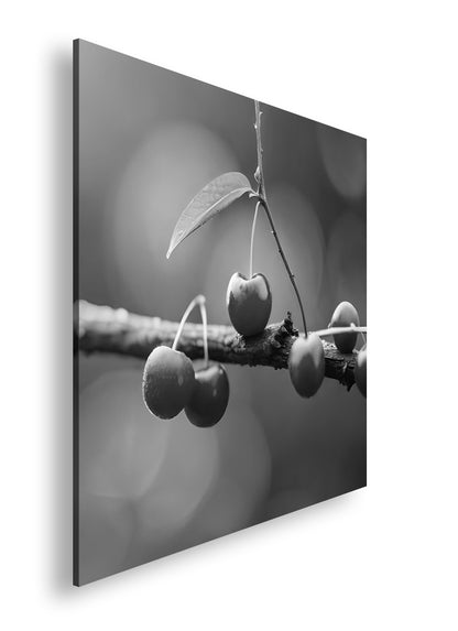 Hauptbild Schwarz & Weiß Quadratisch