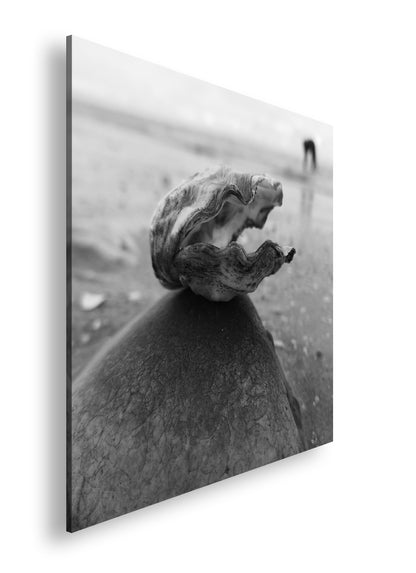 Hauptbild Schwarz & Weiß Quadratisch