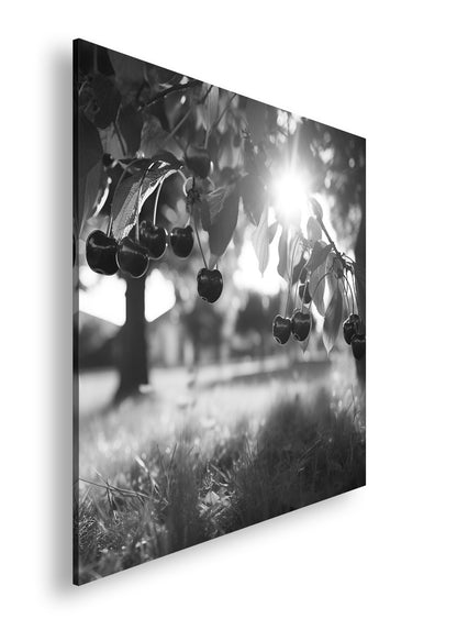 Hauptbild Schwarz & Weiß Quadratisch