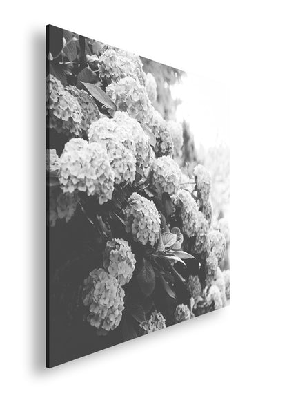 Hauptbild Schwarz & Weiß Quadratisch