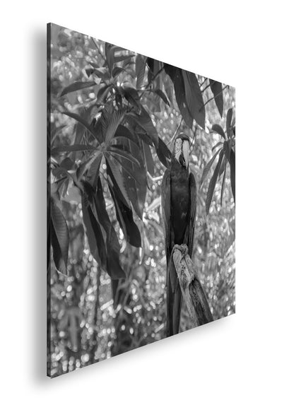 Hauptbild Schwarz & Weiß Quadratisch