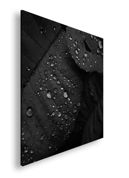 Hauptbild Schwarz & Weiß Quadratisch