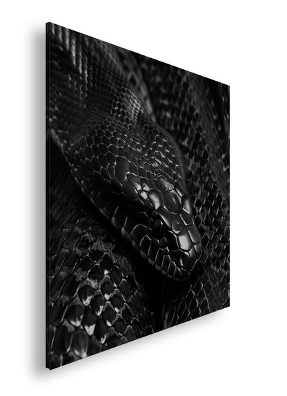 Hauptbild Schwarz & Weiß Quadratisch