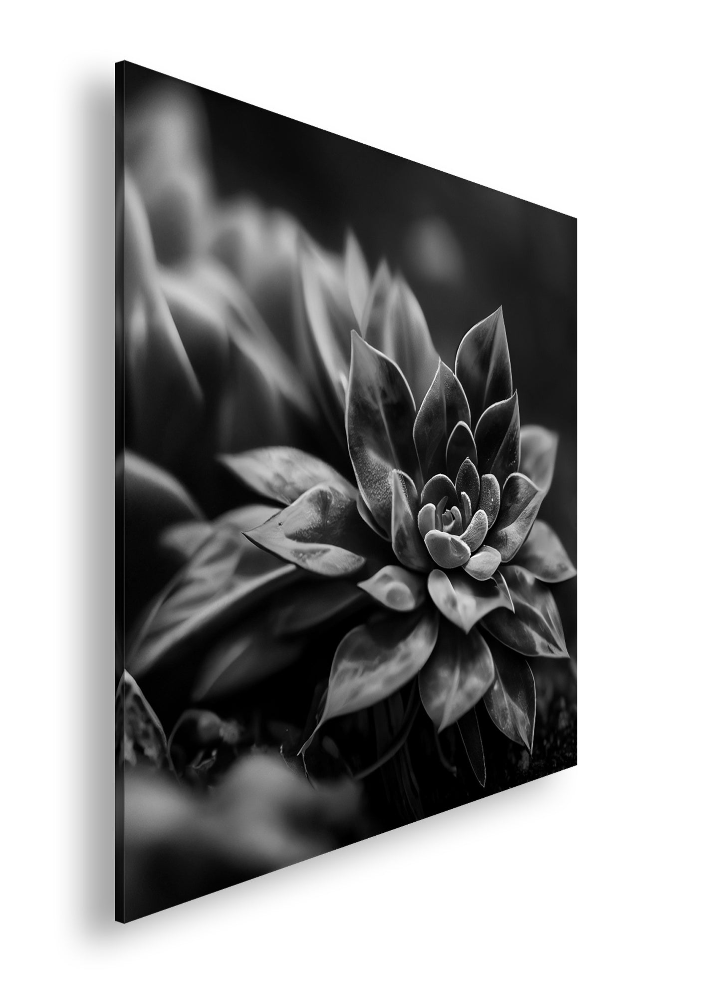 Hauptbild Schwarz & Weiß Quadratisch