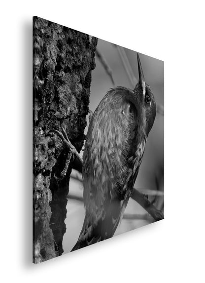 Hauptbild Schwarz & Weiß Quadratisch