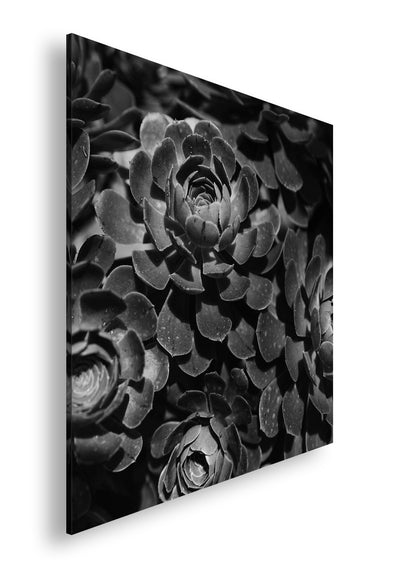 Hauptbild Schwarz & Weiß Quadratisch