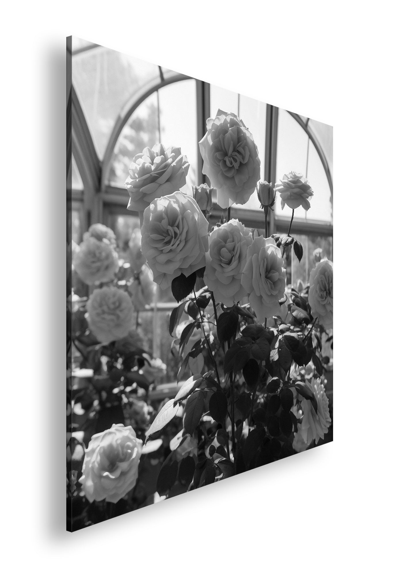 Hauptbild Schwarz & Weiß Quadratisch