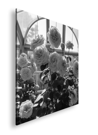 Hauptbild Schwarz & Weiß Quadratisch