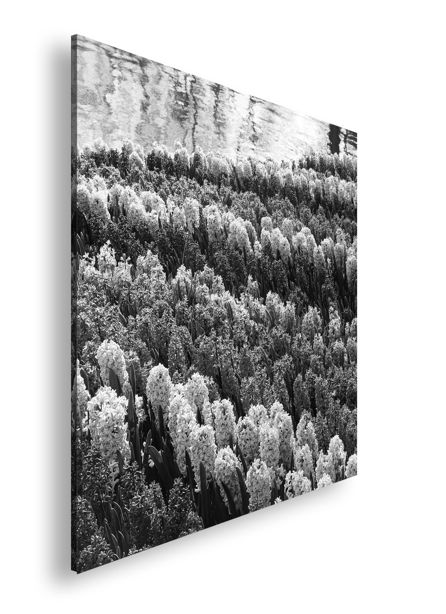 Hauptbild Schwarz & Weiß Quadratisch