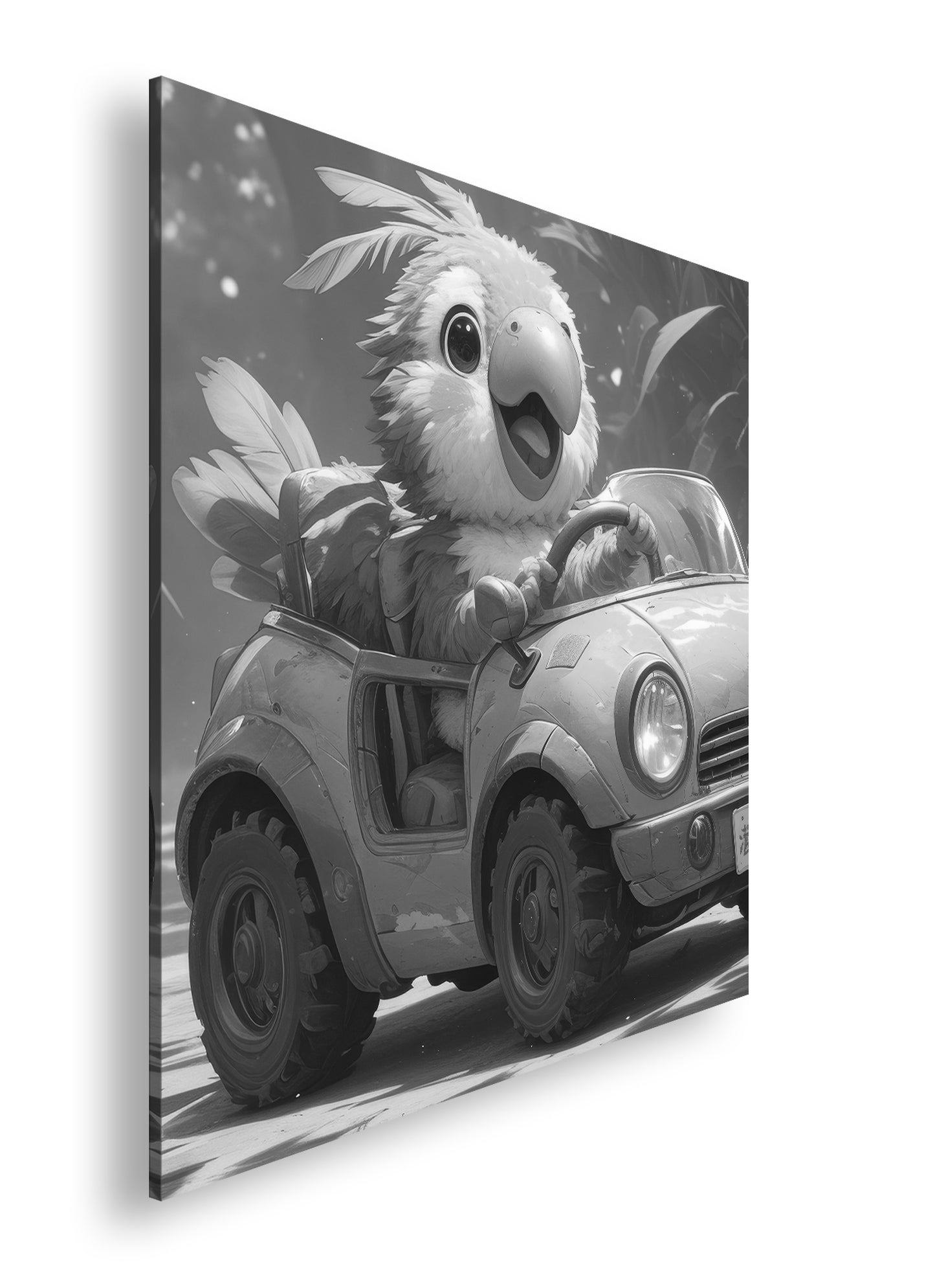 Hauptbild Schwarz & Weiß Quadratisch