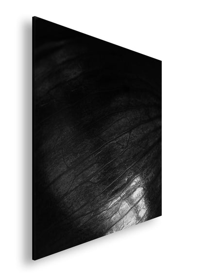 Hauptbild Schwarz & Weiß Quadratisch