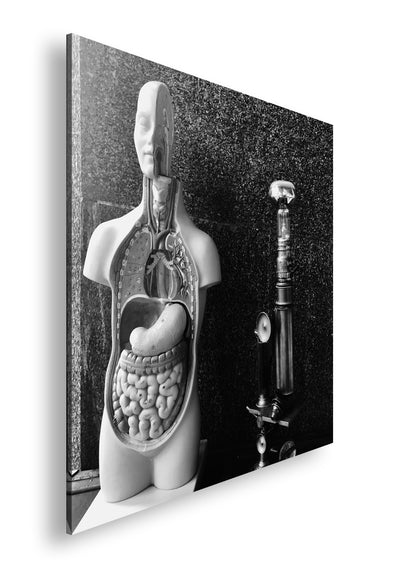 Hauptbild Schwarz & Weiß Quadratisch