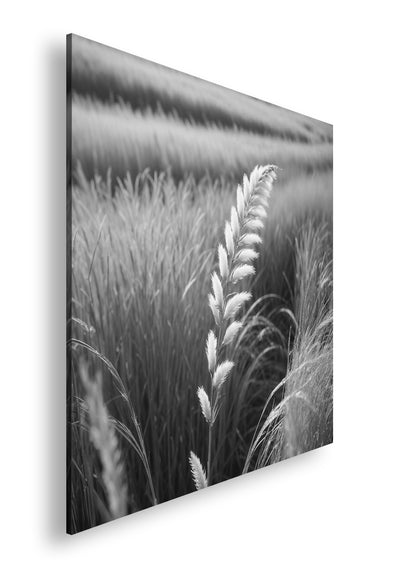 Hauptbild Schwarz & Weiß Quadratisch