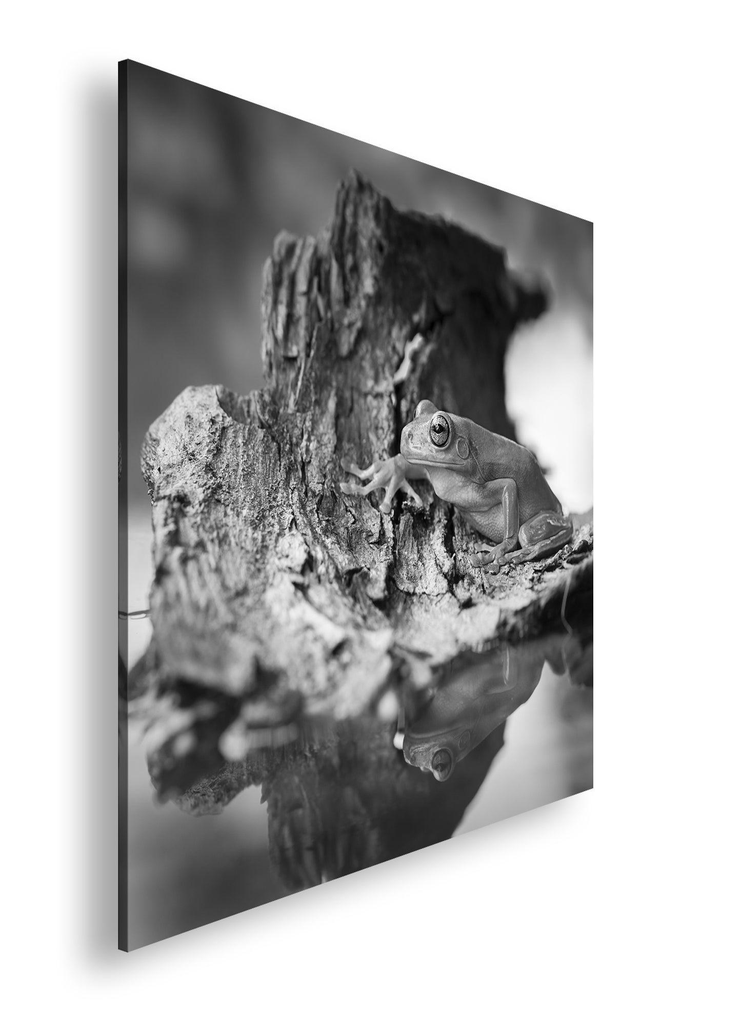 Hauptbild Schwarz & Weiß Quadratisch