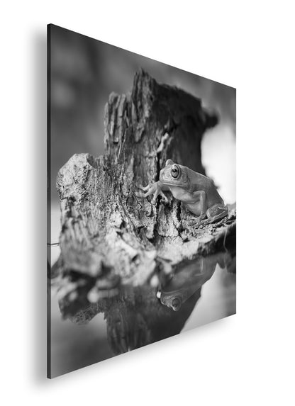 Hauptbild Schwarz & Weiß Quadratisch