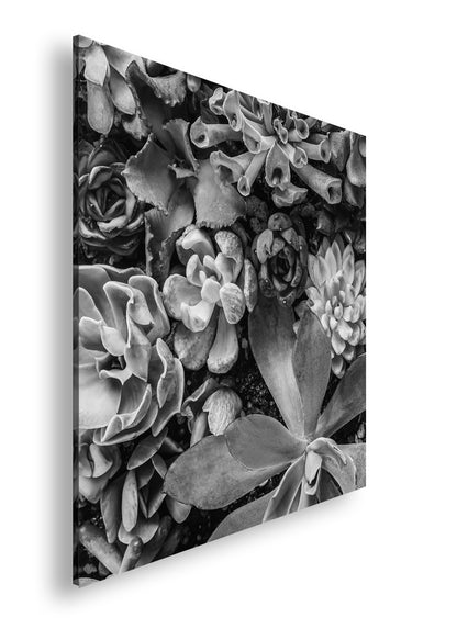 Hauptbild Schwarz & Weiß Quadratisch