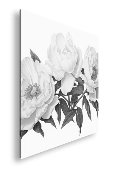 Hauptbild Schwarz & Weiß Quadratisch