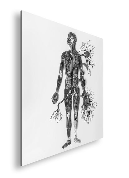 Hauptbild Schwarz & Weiß Quadratisch