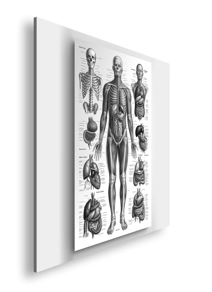 Hauptbild Schwarz & Weiß Quadratisch