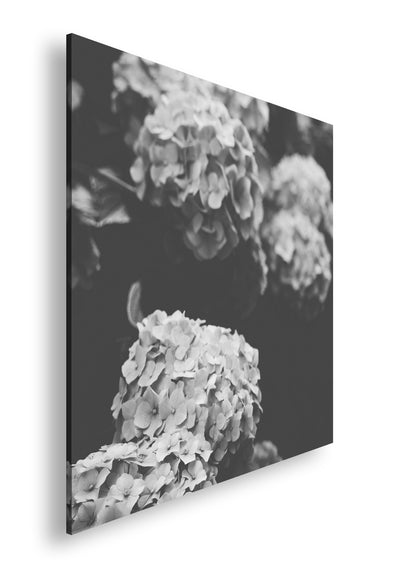 Hauptbild Schwarz & Weiß Quadratisch