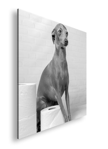 Hauptbild Schwarz & Weiß Quadratisch