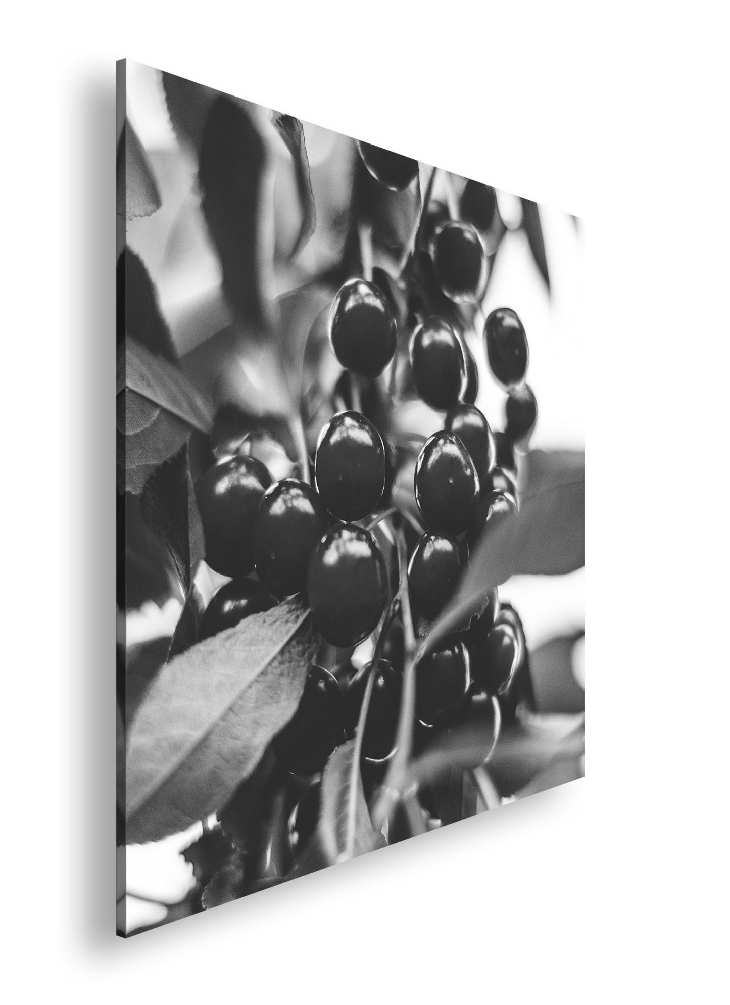 Hauptbild Schwarz & Weiß Quadratisch