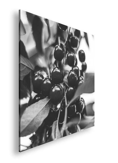 Hauptbild Schwarz & Weiß Quadratisch